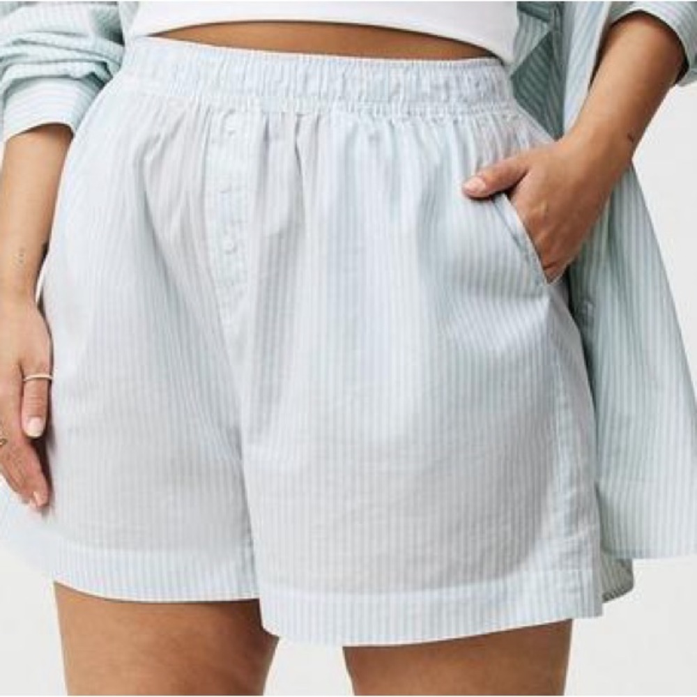 Torrid Light Blue Pinstripe Women's Shorts